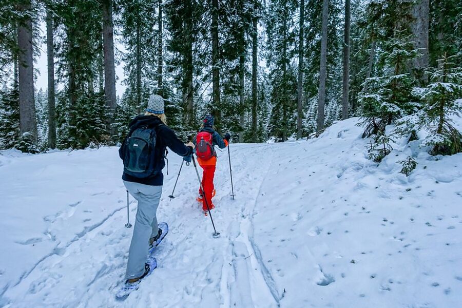 Snowshoeing in Triglav National Park - The warm van ride sets up the day
