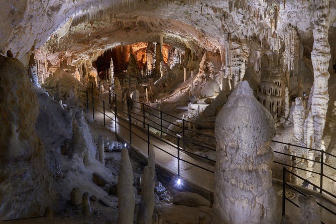 Tour to Postojna and Predjama Castle from Koper - What the Koper pickup is really worth