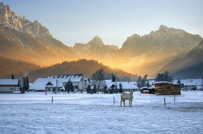 Triglav National Park and the Alps Private tour - Price, group size, and overall value