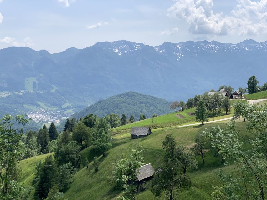 Triglav National Park Tour from Bled - Vintgar Gorge sets the pace