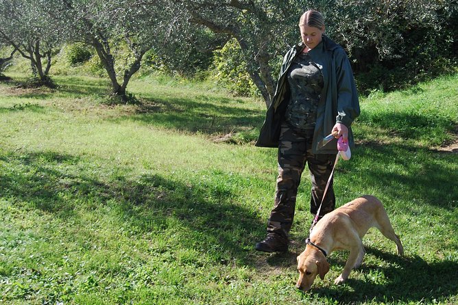TRUFFLES: Hunting & Tasting in Istria, Slovenia - Why this truffle hunt feels different from a standard food tasting