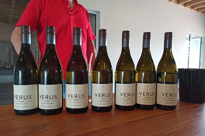 Wine and Culinary Adventure in Jeruzalem - Full Day Tour from Ljubljana or Ptuj - Why Jeruzalem makes a good day trip from Ljubljana