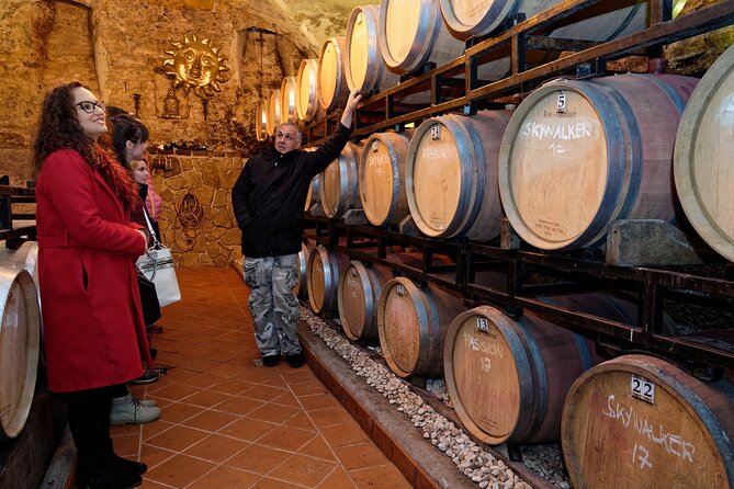 Wine and Culinary Adventure in Jeruzalem - Full Day Tour from Ljubljana or Ptuj - The drive through the wine country