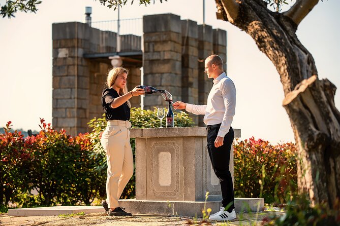 Wine Degustation in the Heart of Slovenian Istria - Key points to know before booking