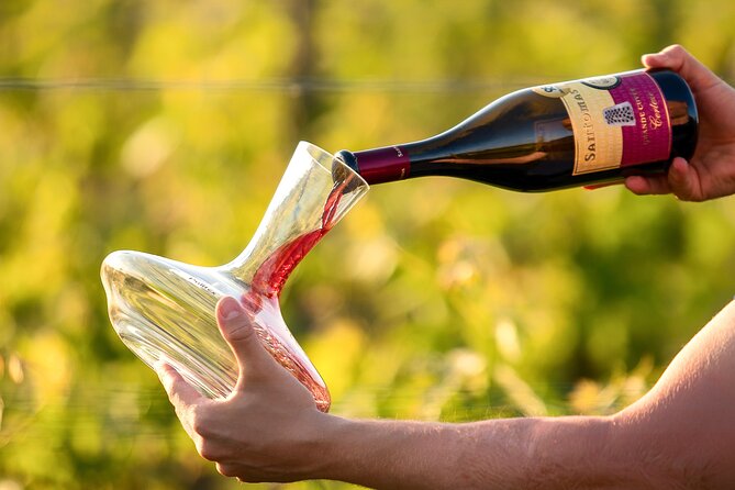 Wine Degustation in the Heart of Slovenian Istria - A family winery with roots in Slovenian Istria