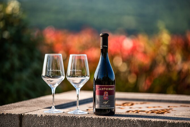 Wine Degustation in the Heart of Slovenian Istria - What the 90-minute visit includes