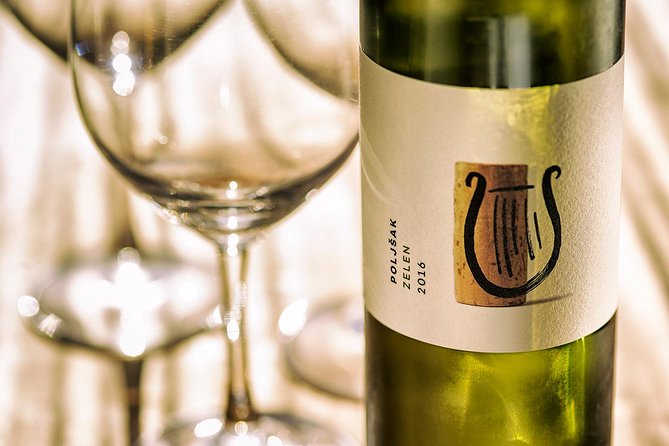 Wine Tasting with Cold Cuts - The cellar visit gives the tasting a personal feel