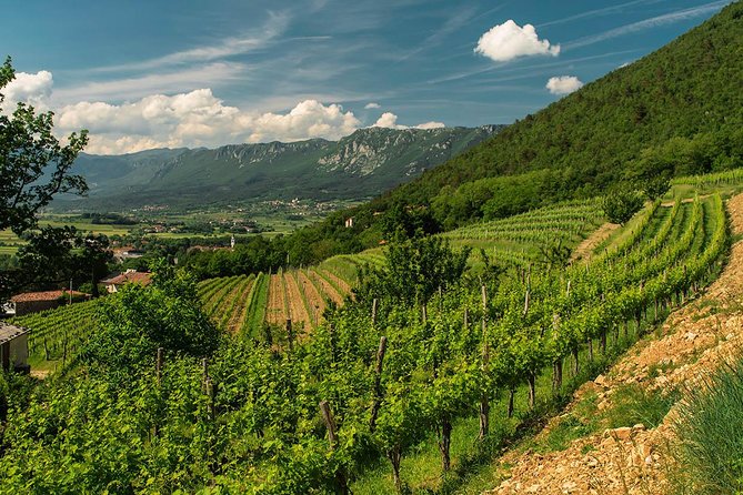 Wine Tasting with Cold Cuts - Cold cuts and cheese make the hour more useful