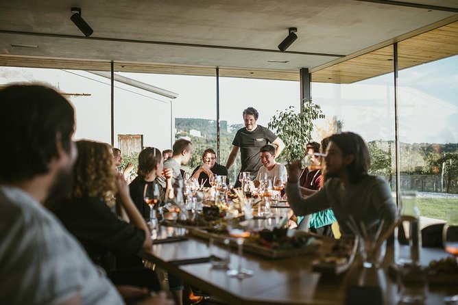 Wine Tasting with Pairing Snacks in Vipava Valley - What makes Lepa Vida different