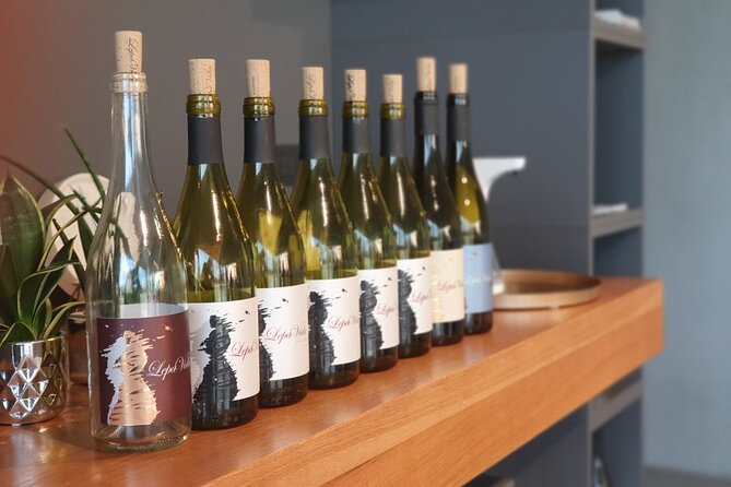 Wine Tasting with Pairing Snacks in Vipava Valley - The wine flight: five wines at a minimum