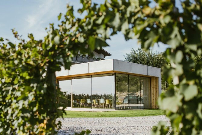 Wine Tasting with Pairing Snacks in Vipava Valley - Meeting Irena or Matija