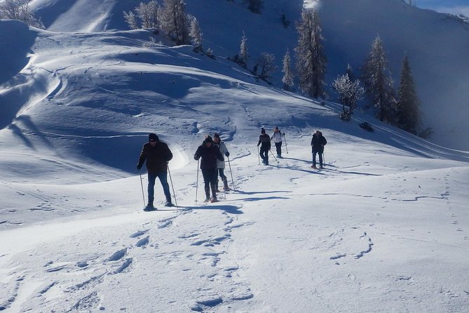 Winter Fairytale - Triglav National Park Half Day Trip - A winter route through Triglav National Park