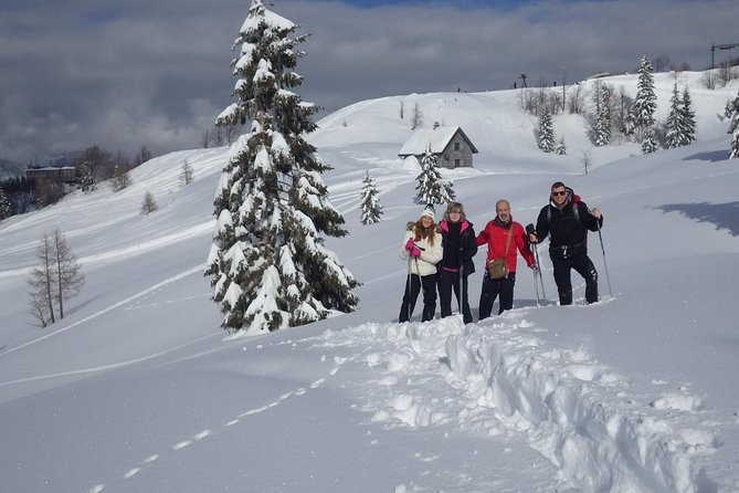 Winter Fairytale - Triglav National Park Half Day Trip - Vogel Ski Center at 1,535 meters