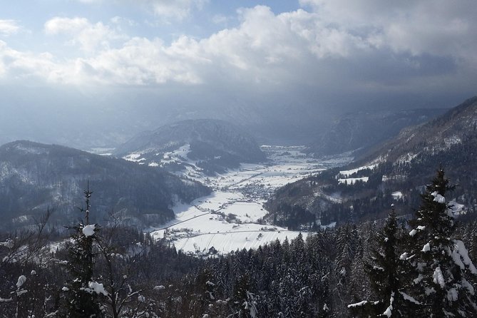 Winter Fairytale - Triglav National Park Half Day Trip - Pokljuka’s forests and glacial features
